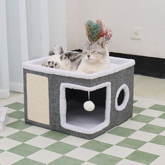 Maison chat pliable 5