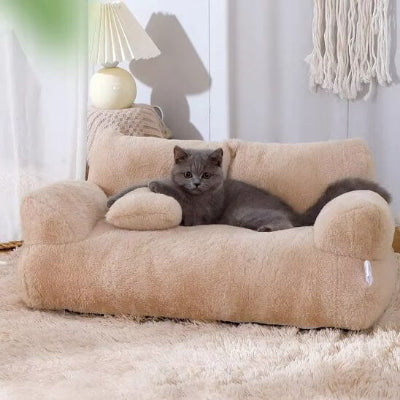 canapé pour chat beige chat gris allongé