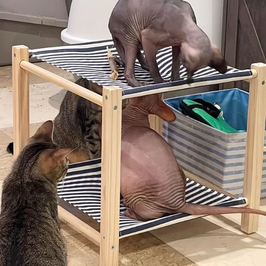 hamac chat rayures bleu marine avec chats jouant