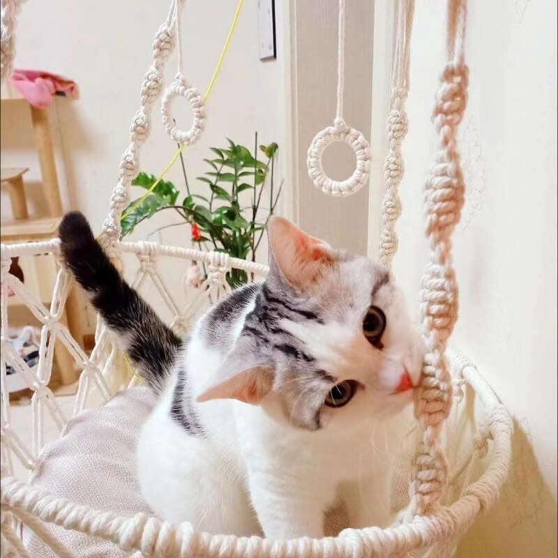 hamac pour chat suspendu style bohĂšme avec chat mignon