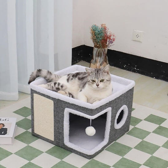 Maison pour chat | Home Sweet Home - Chats Malins