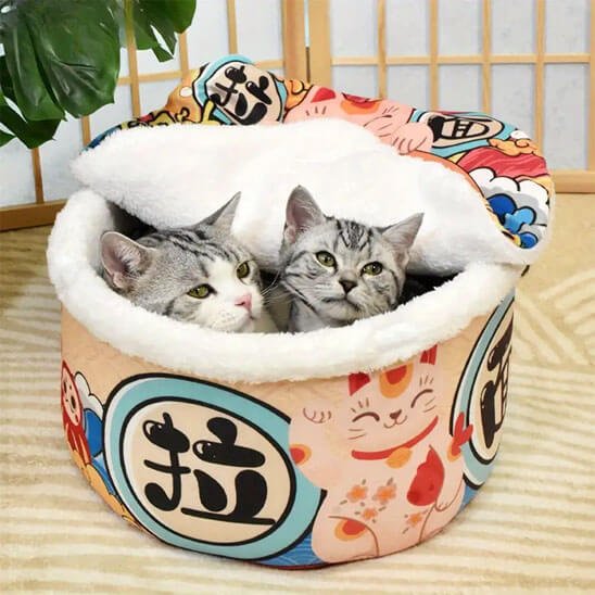Panier pour chat | Mon Petit Ramen - Chats Malins