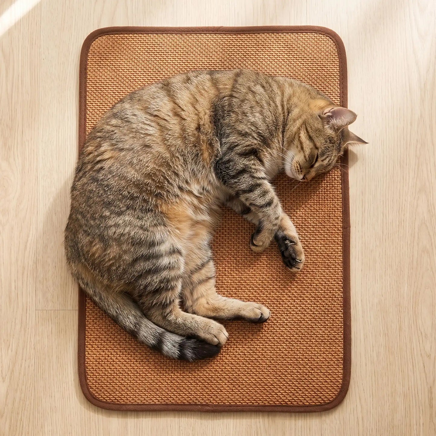 tapis rafraichissant chat auto-rechargeable chat endormi