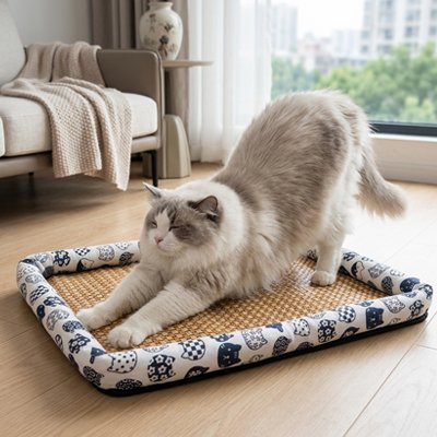 tapis rafraichissant chat blanc rotin avec chat qui s'étire