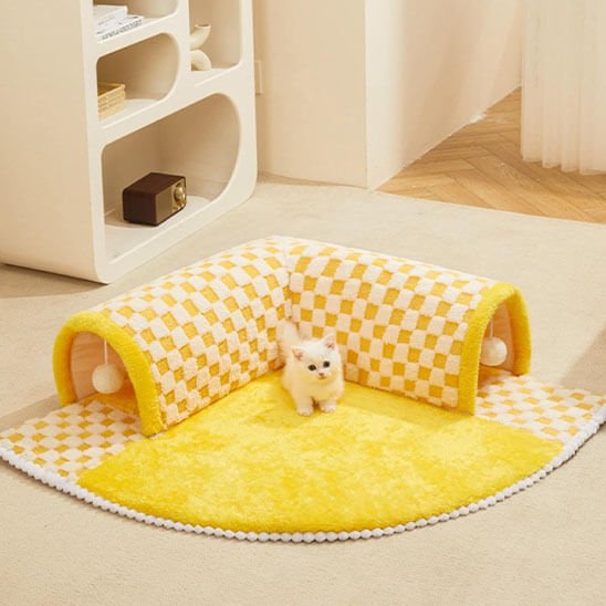 tunnel pour chat avec chat blanc