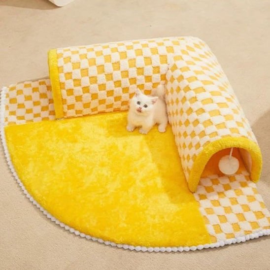 tunnel pour chat avec chat mignon