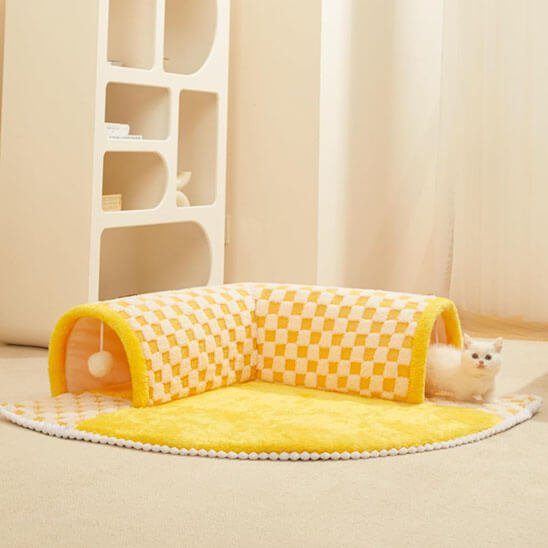 tunnel pour chat avec chaton