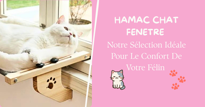 HAMAC CHAT FENETRE - Notre Sélection Idéale Pour le Confort De Votre Félin