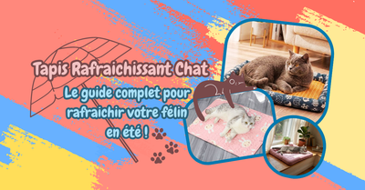 Tapis Rafraichissant Chat : Le Guide Complet Pour Rafraîchir Votre Félin En Été