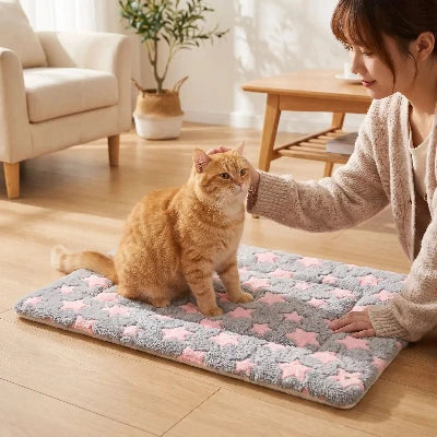 tapis chat gris rose étoilé femme caressant chat 