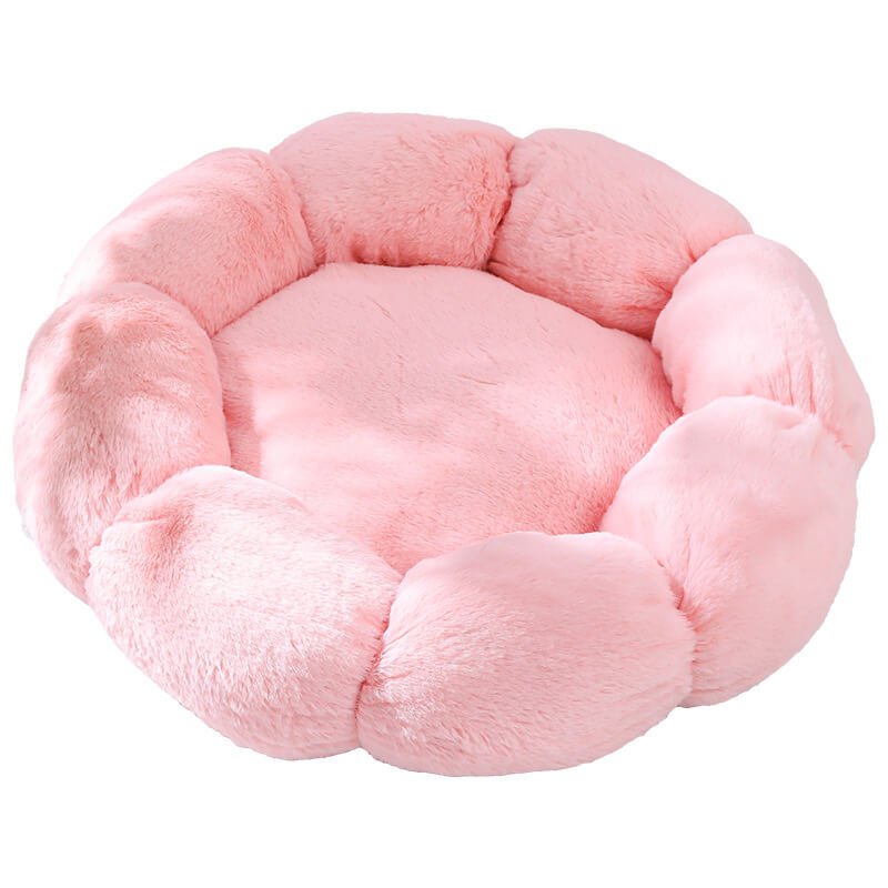 Coussin chat pétale d'amour rose 2