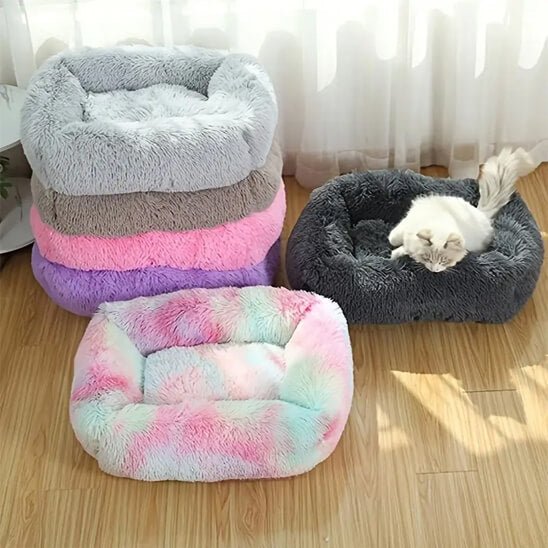 Coussin chat pouf pouf couleurs 2