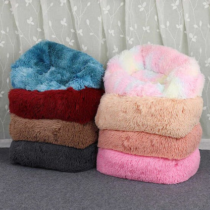 Coussin chat pouf pouf couleurs 