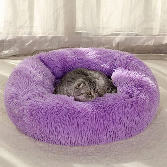 Coussin chat pouf pouf violet