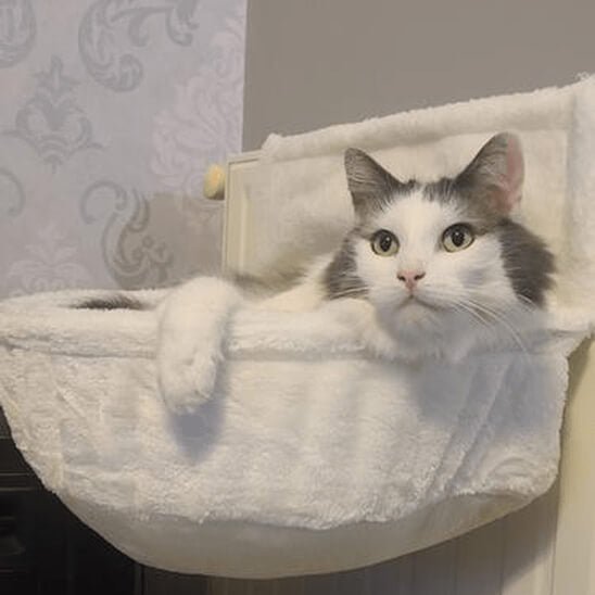 Hamac radiateur chat douce chaleur 3