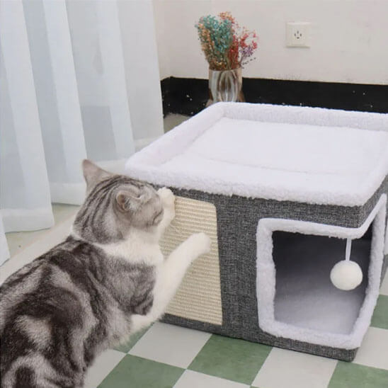Maison chat pliable 3