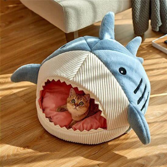 Niche pour chat requin bleu 2