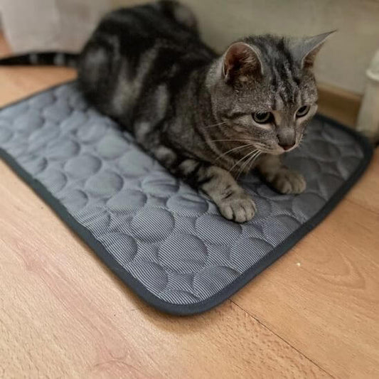 Tapis rafraichissant chat été frais avec chat allongé