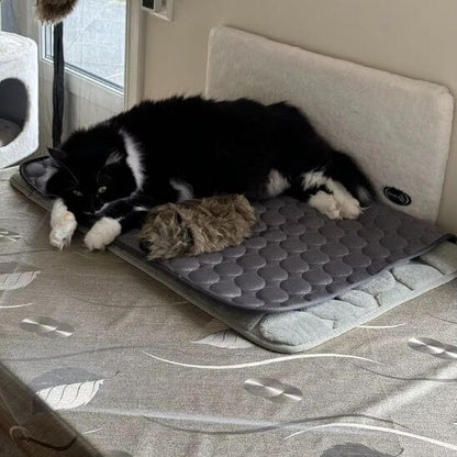 Tapis rafraichissant chat été frais chat blanc noir allongé