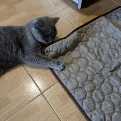 Tapis rafraichissant chat été frais chat jouant 