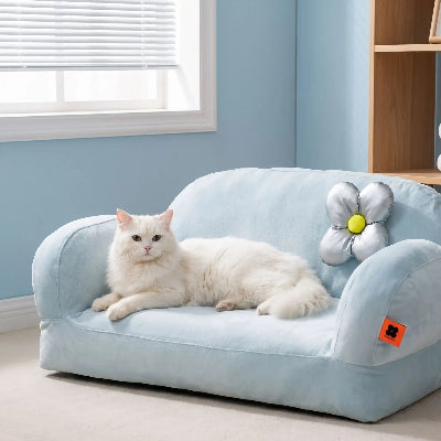 canapé chat bleu chat blanc allongé 