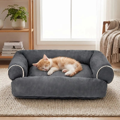 canapé chat gris chaton dormant 
