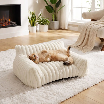 canapé chat ondulé blanc chat position drôle 