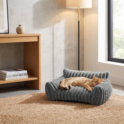 canapé chat ondulé gris chat tranquille 
