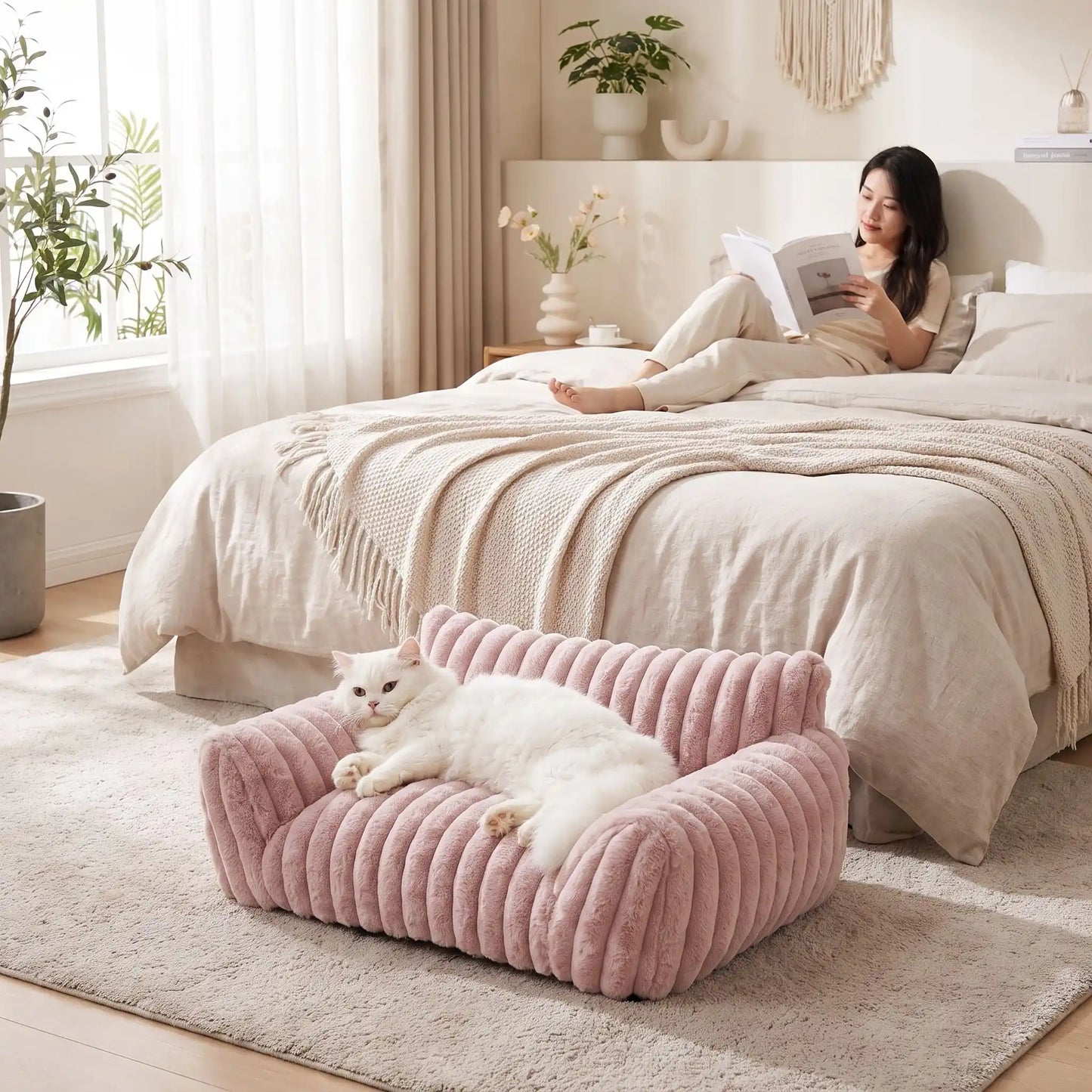 canapé chat ondulé rose chat posé femme lit chambre 