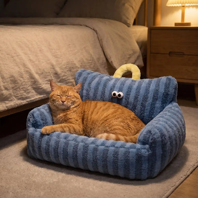 canapé chat rayures bleu chambre tamisée 