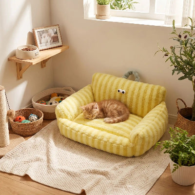 canapé chat rayures jaune chaton endormi 