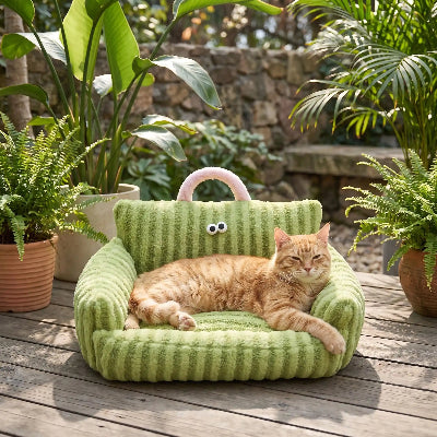 canapé chat rayures vert chat posé plantes