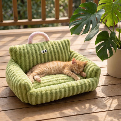 canapé chat rayures vert chaton terrasse 