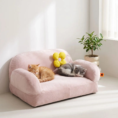 canapé chat rose chatons dodo 