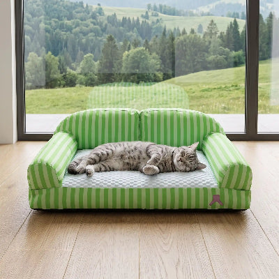 canapé pour chat assise rafraichissante baie vitrée paysage 