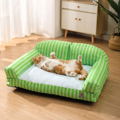canapé pour chat assise rafraichissante chat amusant 