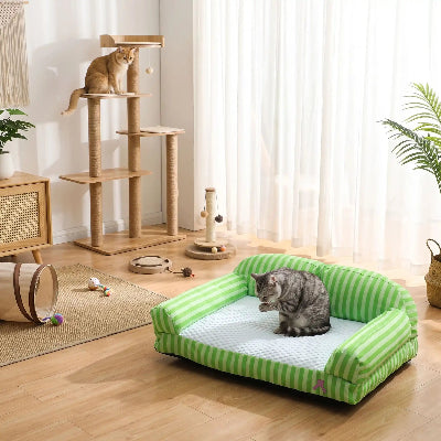canapé pour chat assise rafraichissante chat assis espace jeux 