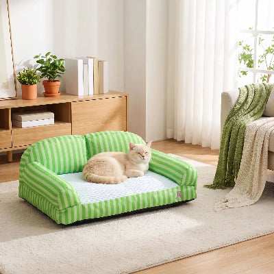 canapé pour chat assise rafraichissante chat posé salon