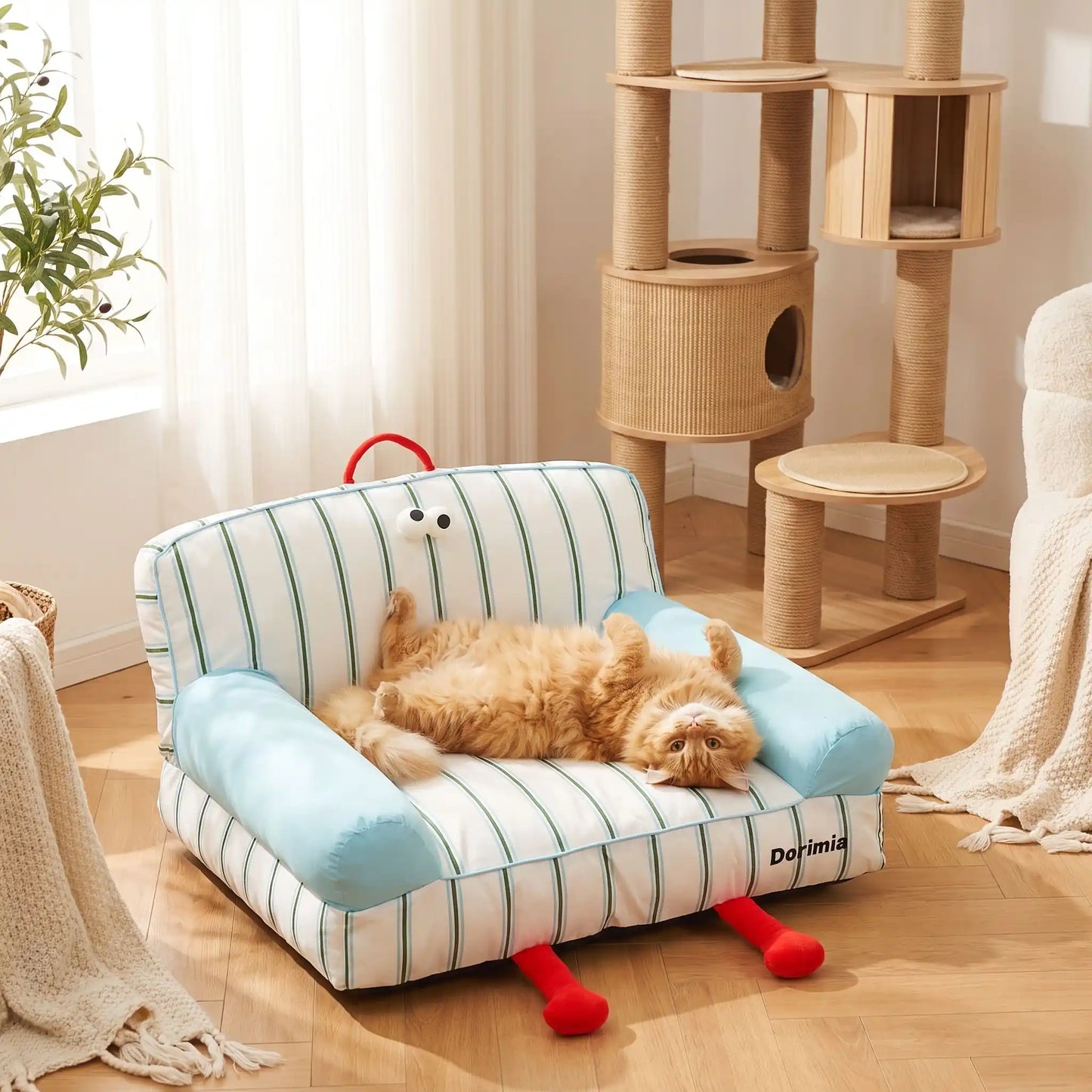 canapé pour chat avec chat allongé drôle
