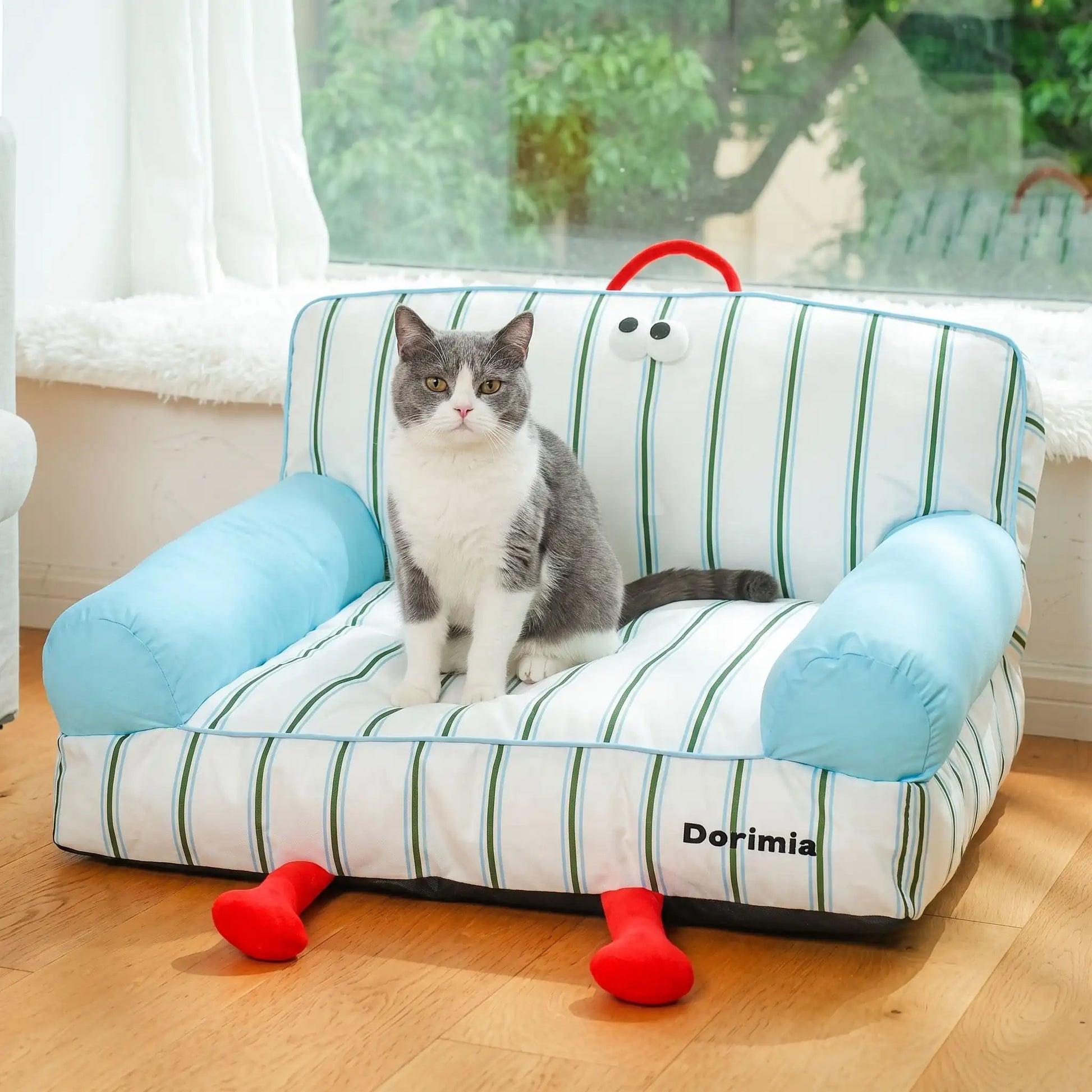 canapé pour chat avec chat assis fenêtre