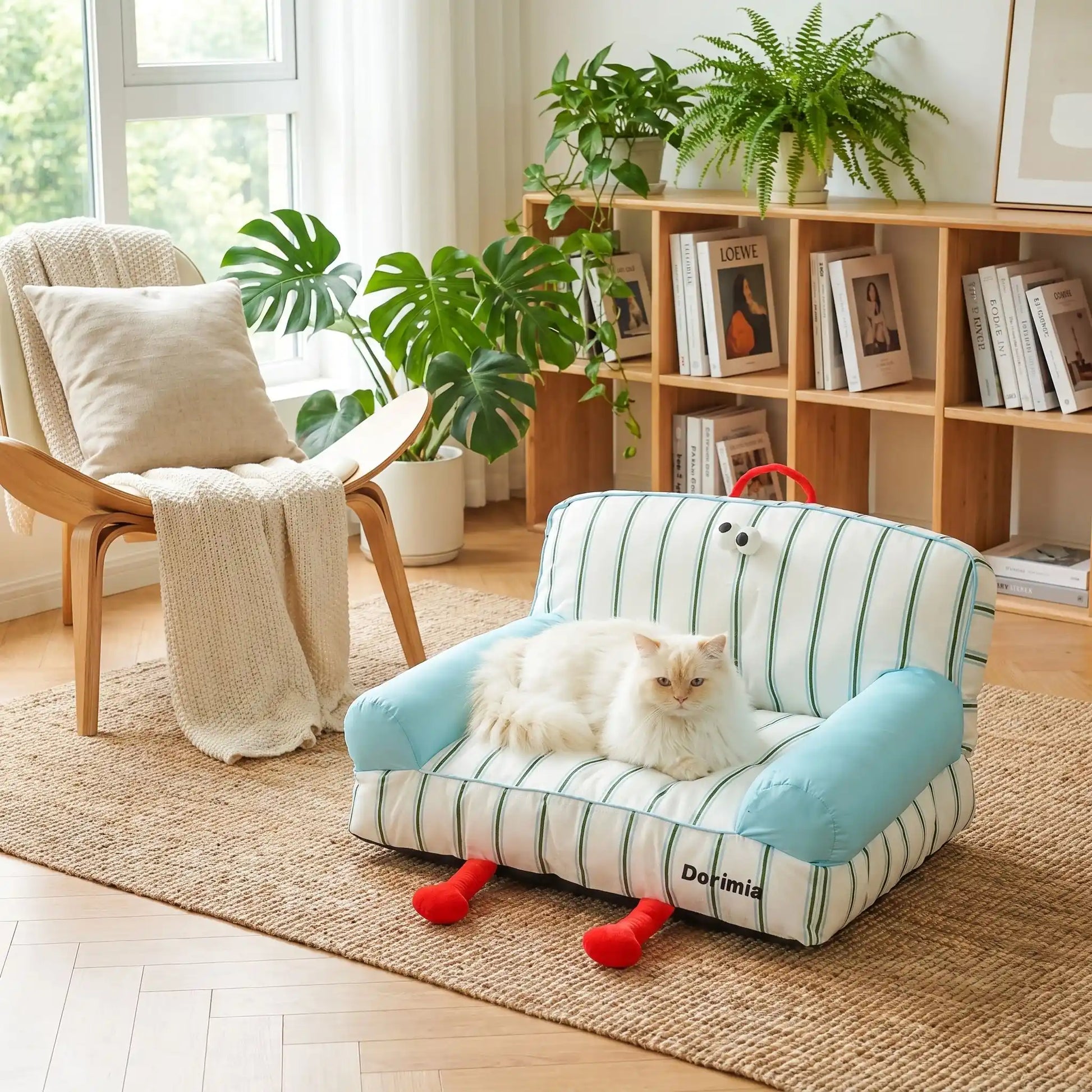 canapé pour chat avec chat posé salon