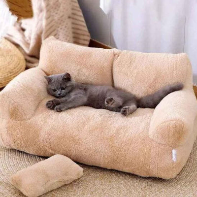 canapé pour chat beige chat gris allongé calme