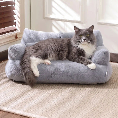 canapé pour chat gris chat allongé posé