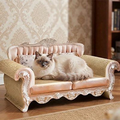 canapé pour chat luxueux chat allongé calme