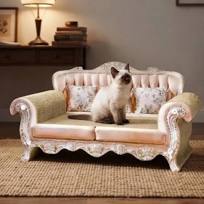 canapé pour chat luxueux chaton assis 