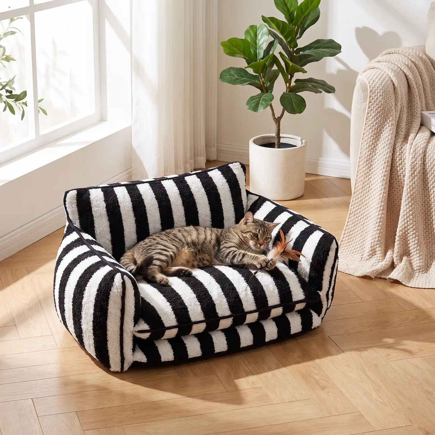 canapé pour chat rayures noir blanc chat allongé jouant 