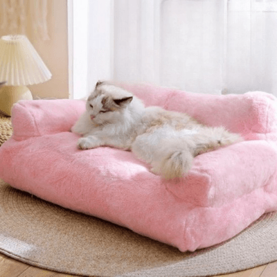 canapé pour chat rose chat blanc allongé calme