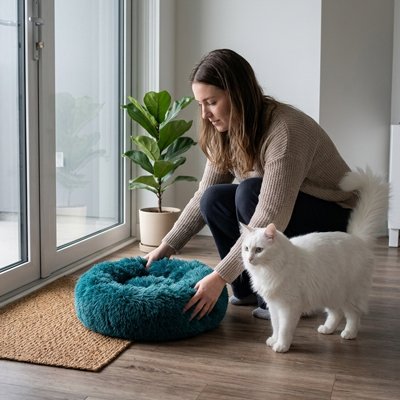 coussin a chat bleu vert emeraude chat humain 