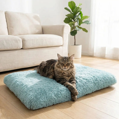coussin à chat rectangle moelleux bleu tendre avec chat allongé 