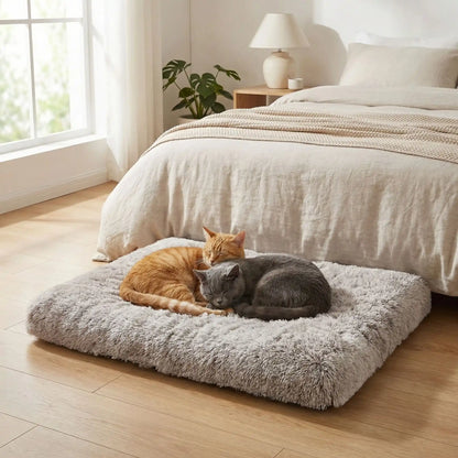 coussin à chat rectangle moelleux gris clair avec chats dodo 